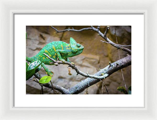 1067998430 - Framed Print