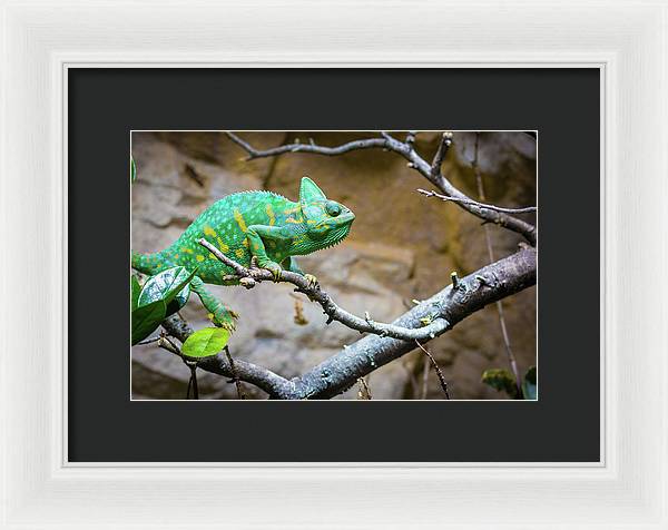 1067998430 - Framed Print