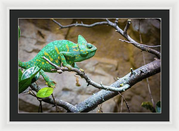 1067998430 - Framed Print