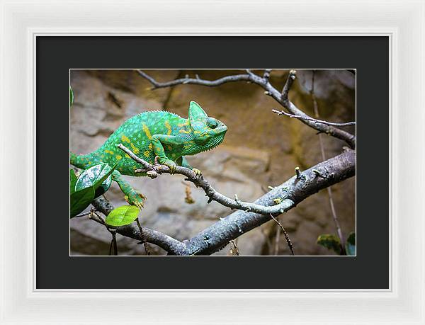1067998430 - Framed Print