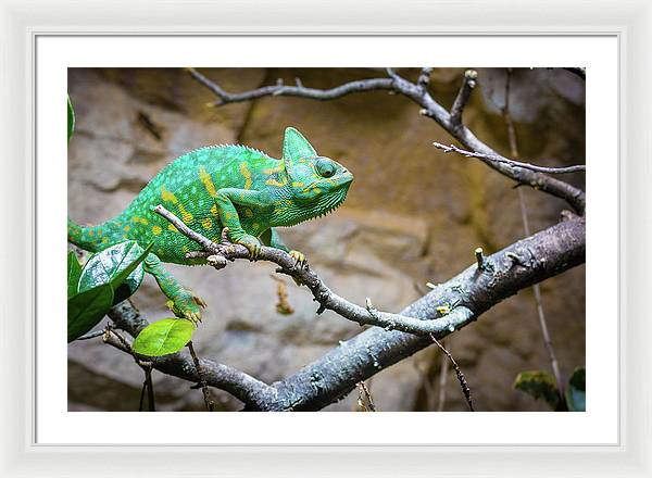 1067998430 - Framed Print