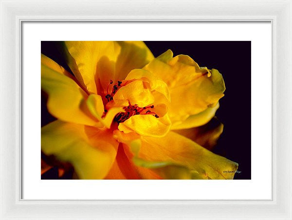 Framed Print - A Little Yellow
