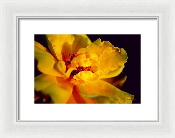 Framed Print - A Little Yellow