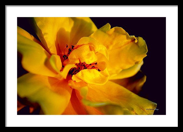Framed Print - A Little Yellow
