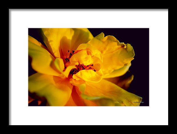 Framed Print - A Little Yellow