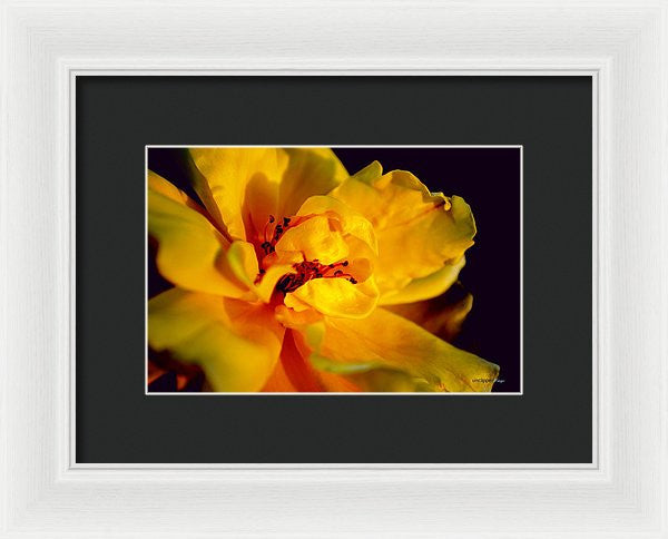 Framed Print - A Little Yellow