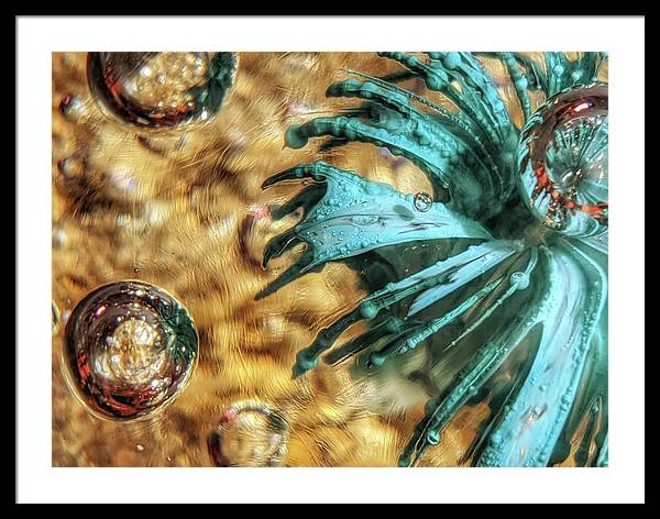 Alien Seduction - Framed Print