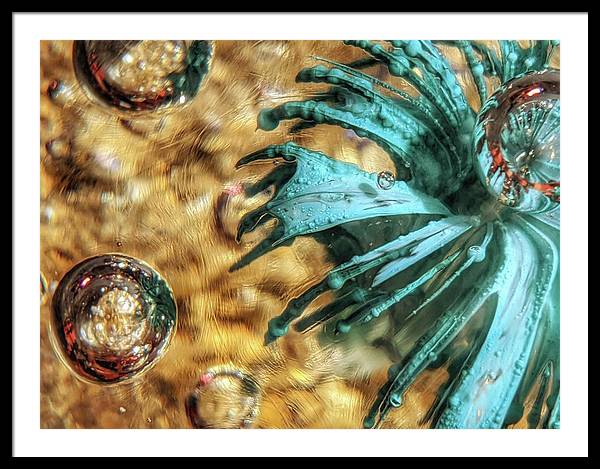 Alien Seduction - Framed Print