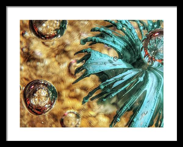 Alien Seduction - Framed Print