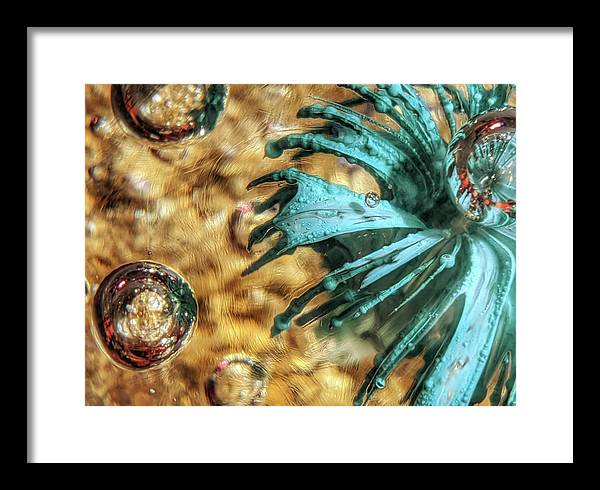 Alien Seduction - Framed Print