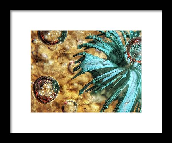Alien Seduction - Framed Print