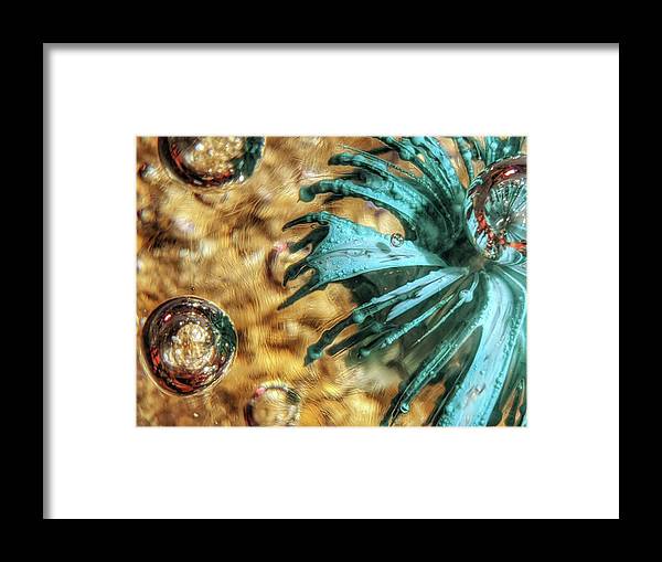 Alien Seduction - Framed Print