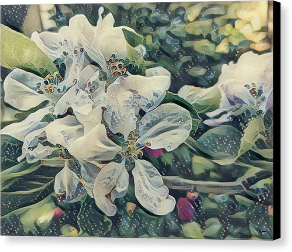 Apple Blossom - Canvas Print