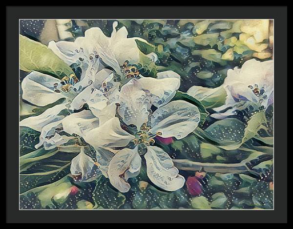 Apple Blossom - Framed Print
