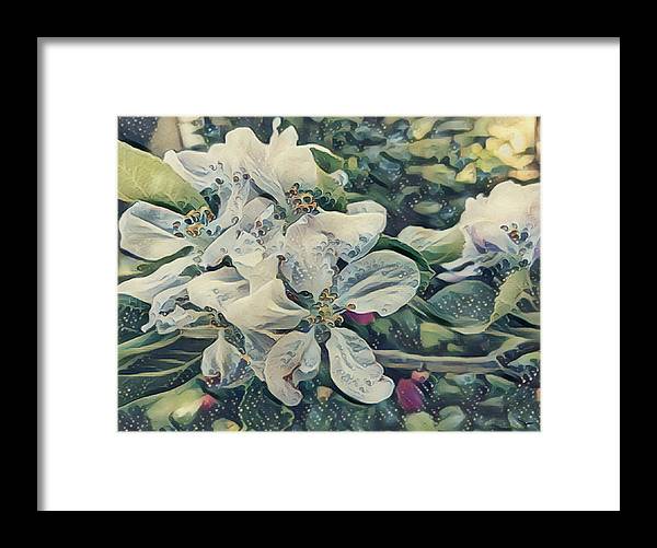 Apple Blossom - Framed Print