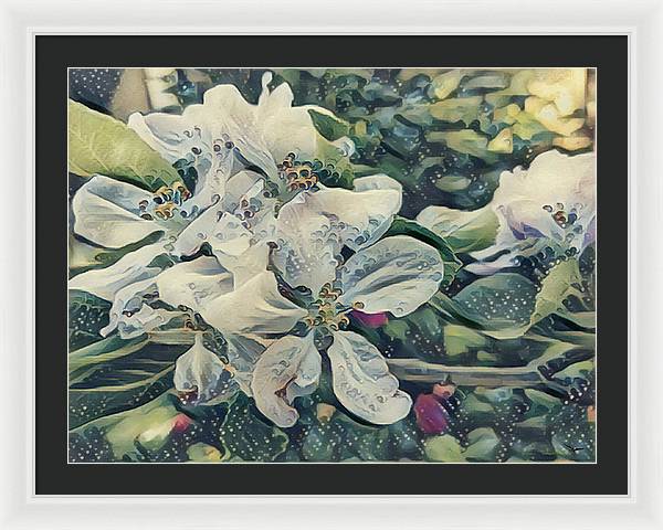 Apple Blossom - Framed Print