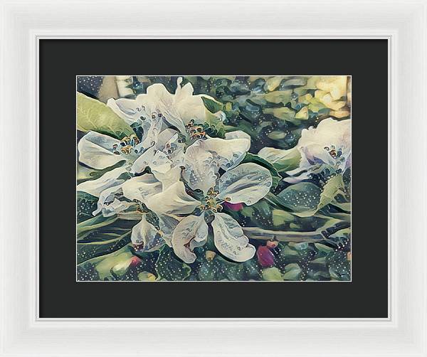 Apple Blossom - Framed Print