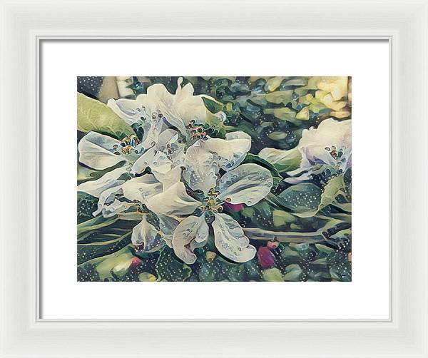 Apple Blossom - Framed Print