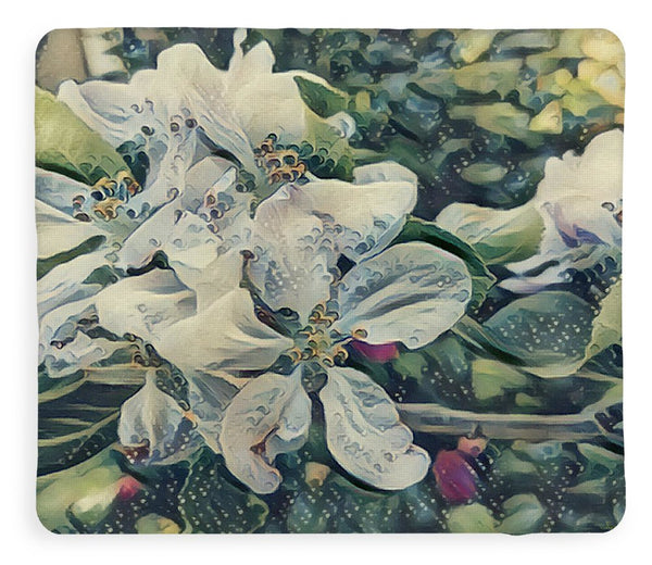 Apple Blossom - Blanket