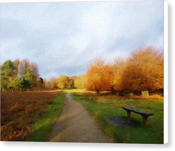 Autumn Seat - Canvas Print