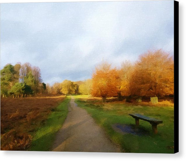 Autumn Seat - Canvas Print