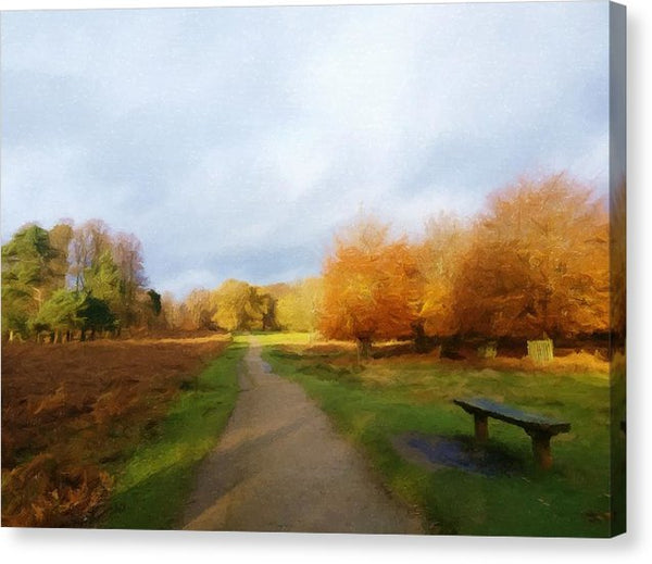 Autumn Seat - Canvas Print
