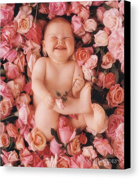 Baby Flowers 2 - Canvas Print