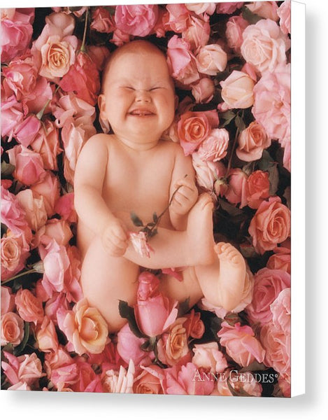 Baby Flowers 2 - Canvas Print