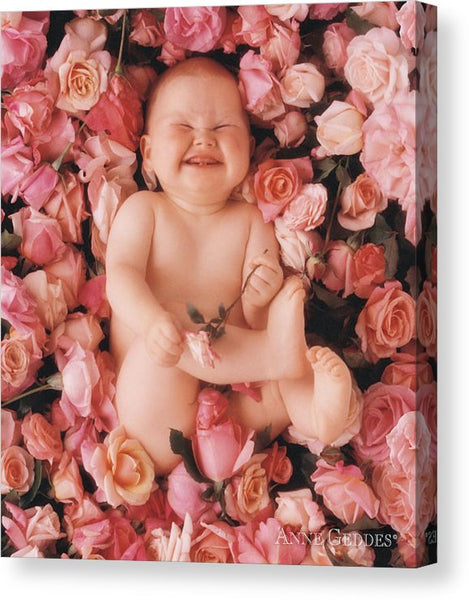 Baby Flowers 2 - Canvas Print