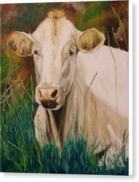Contentment - Canvas Print