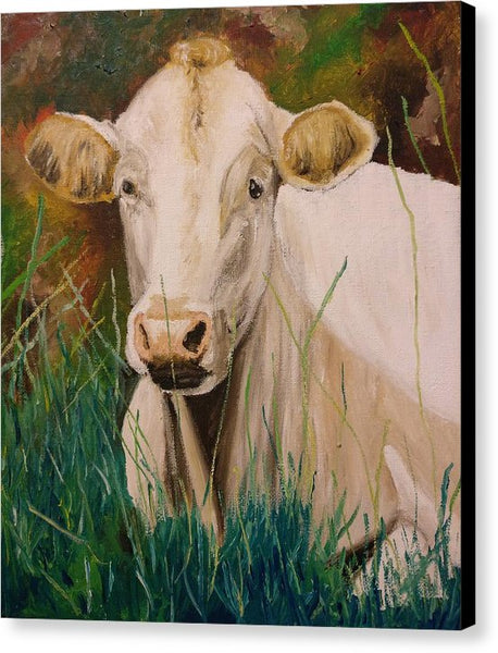 Contentment - Canvas Print