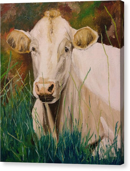 Contentment - Canvas Print