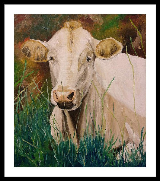 Contentment - Framed Print