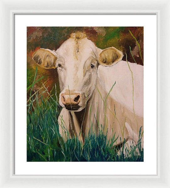Contentment - Framed Print