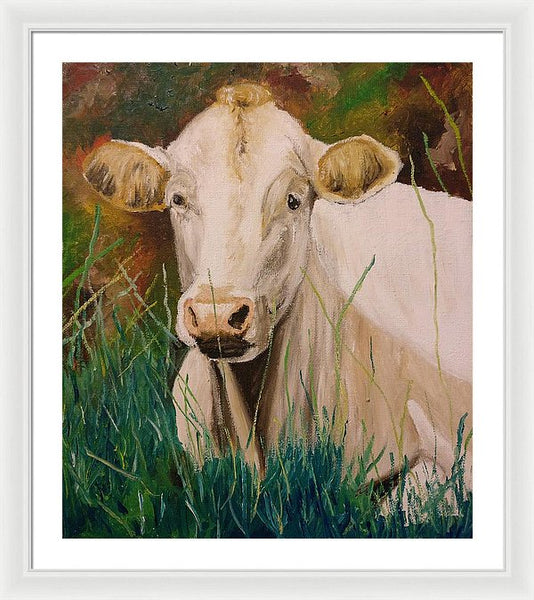 Contentment - Framed Print