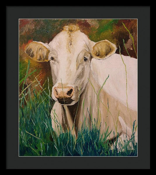 Contentment - Framed Print