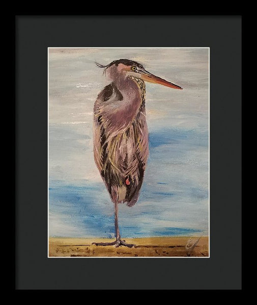Custard Tries Meditation - Framed Print