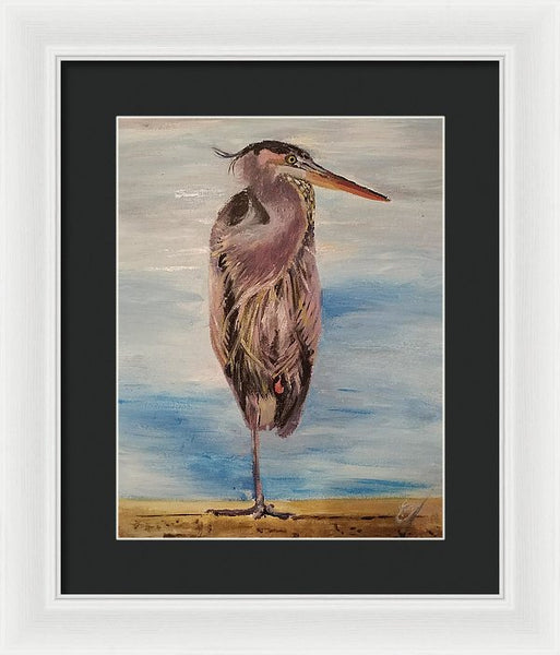 Custard Tries Meditation - Framed Print