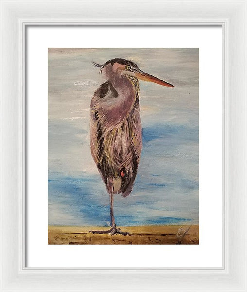 Custard Tries Meditation - Framed Print