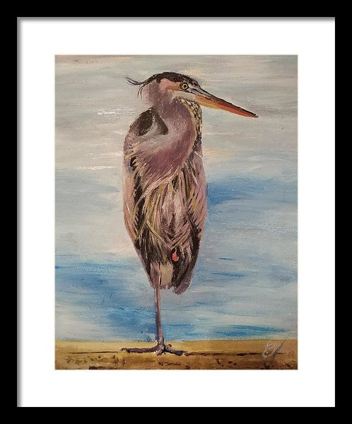 Custard Tries Meditation - Framed Print
