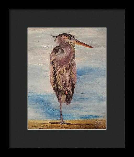 Custard Tries Meditation - Framed Print
