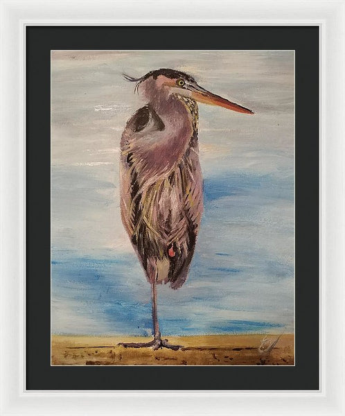 Custard Tries Meditation - Framed Print