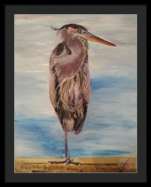 Custard Tries Meditation - Framed Print