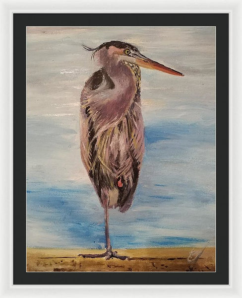 Custard Tries Meditation - Framed Print