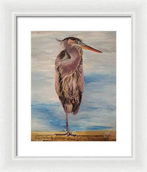 Custard Tries Meditation - Framed Print