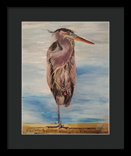 Custard Tries Meditation - Framed Print