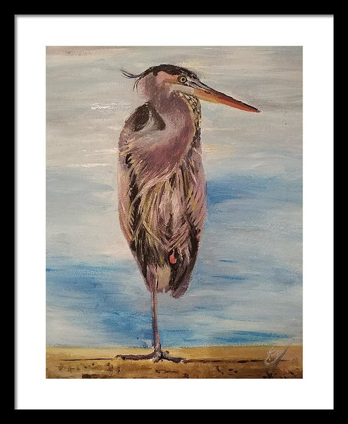 Custard Tries Meditation - Framed Print