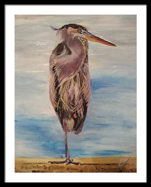 Custard Tries Meditation - Framed Print