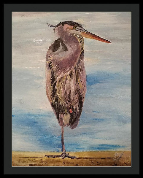 Custard Tries Meditation - Framed Print