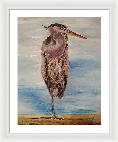 Custard Tries Meditation - Framed Print